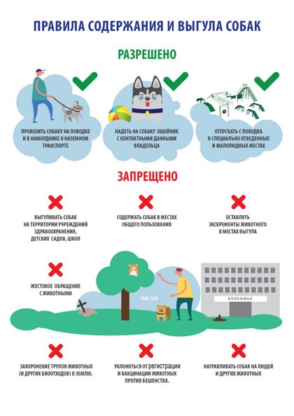 ОБЯЗАННОСТИ ВЛАДЕЛЬЦЕВ ЖИВОТНЫХ!